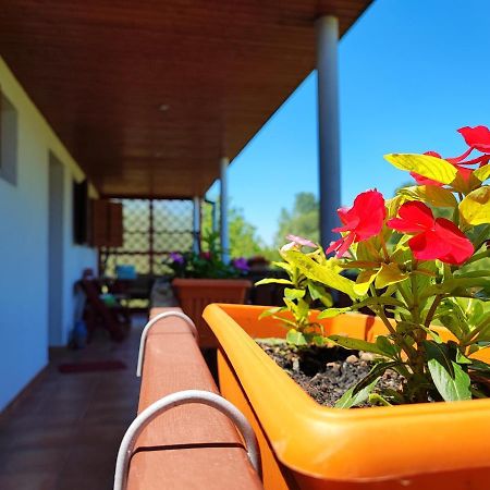 Apartman Dunav Aljmas Luaran gambar