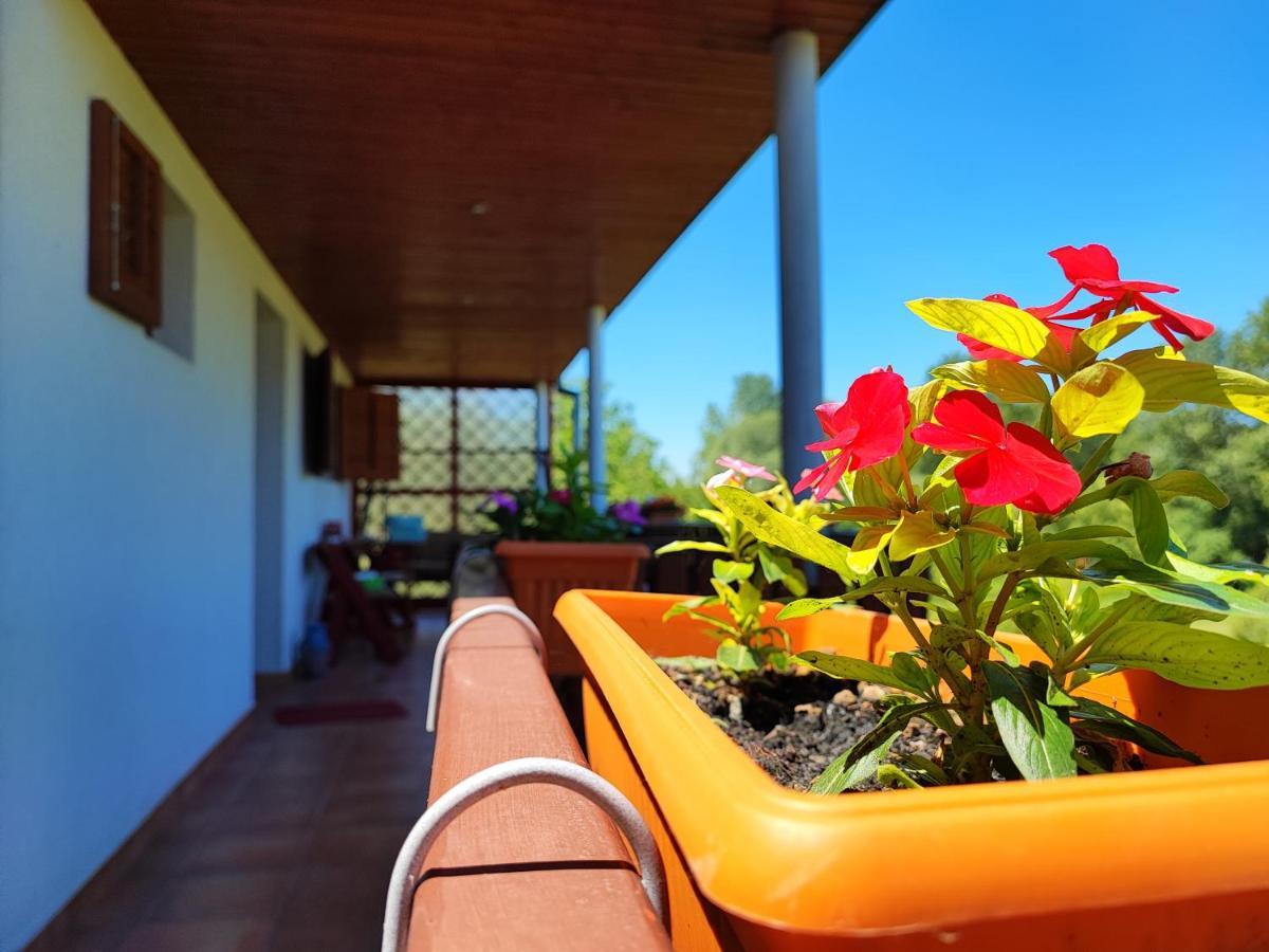 Apartman Dunav Aljmas Luaran gambar