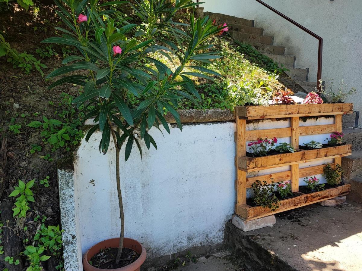 Apartman Dunav Aljmas Luaran gambar